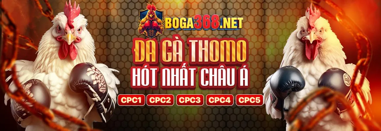 Đá Gà Trực Tuyến VJ88